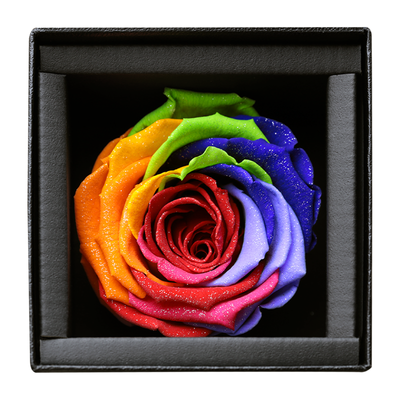 アモローサ - AMOROSA -