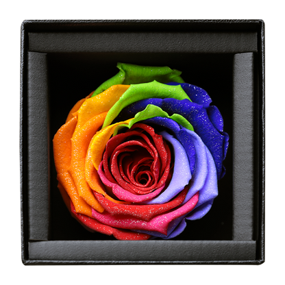 アモローサ - AMOROSA -