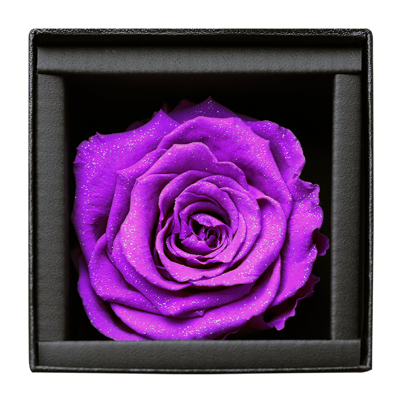 アモローサ - AMOROSA -