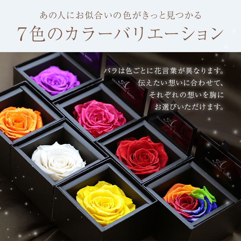 アモローサ - AMOROSA -