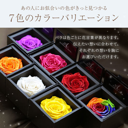 アモローサ - AMOROSA -