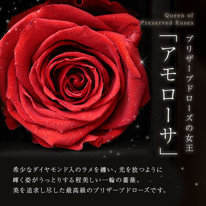 アモローサ - AMOROSA -