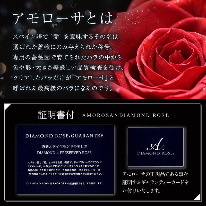 アモローサ - AMOROSA -