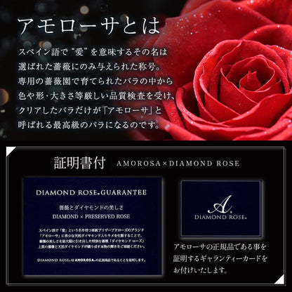 アモローサ - AMOROSA -