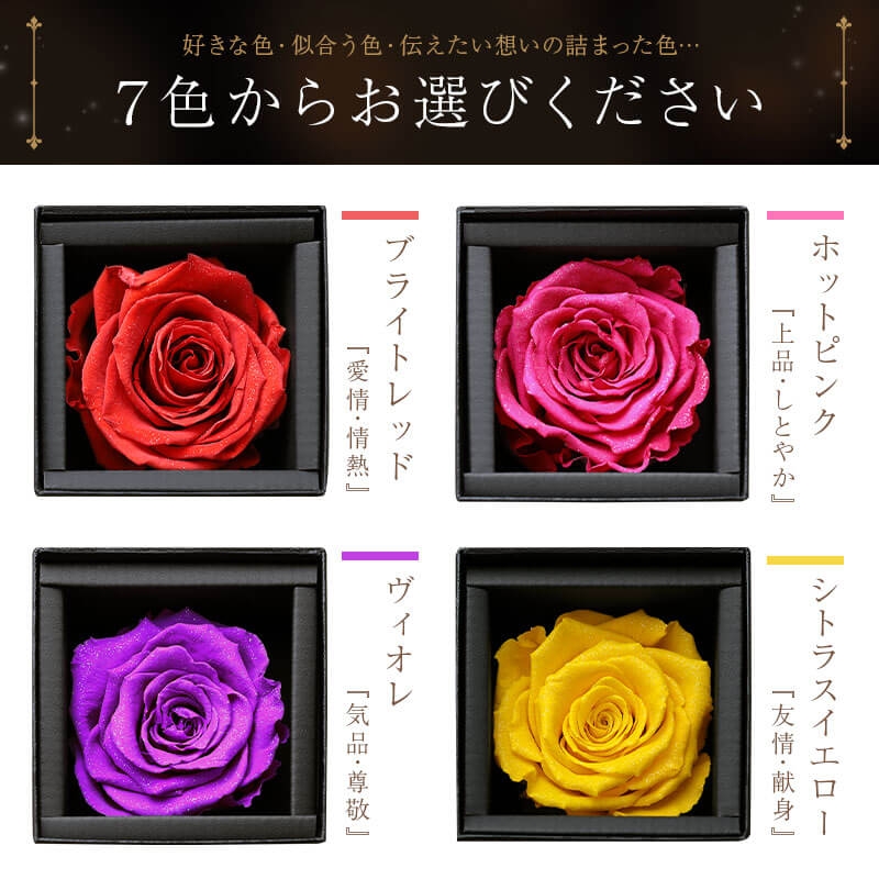 アモローサ - AMOROSA -