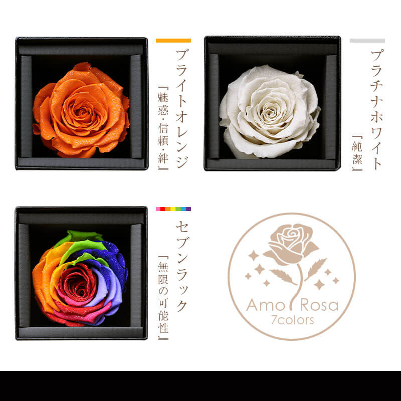 アモローサ - AMOROSA -