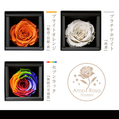 アモローサ - AMOROSA -