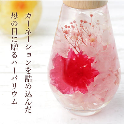 カーネーションハーバリウム