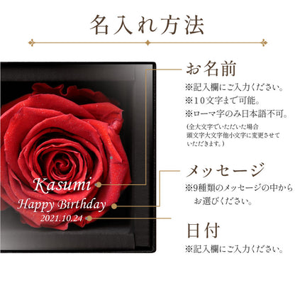 アモローサ - AMOROSA -