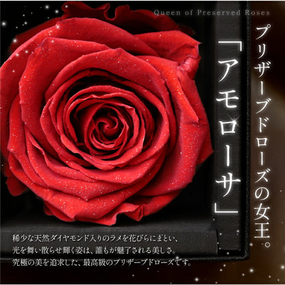 アモローサ ＆ LoveRing