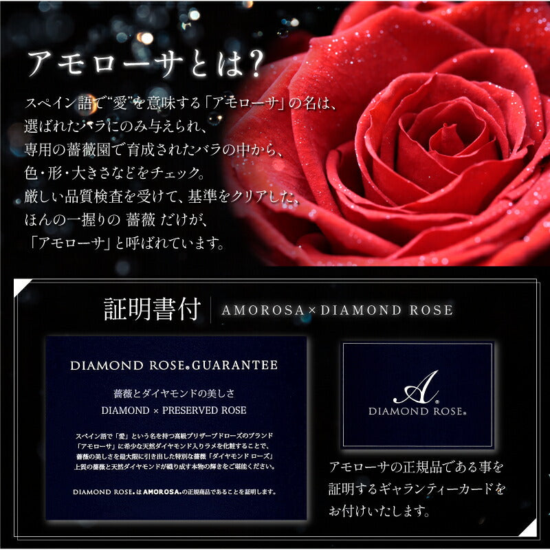 アモローサ ＆ LoveRing