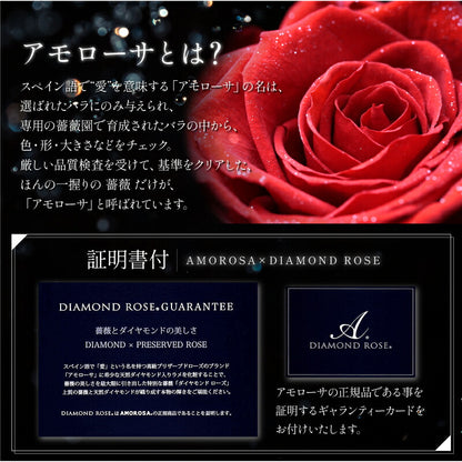 アモローサ ＆ LoveRing