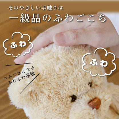 長寿ベア 紫