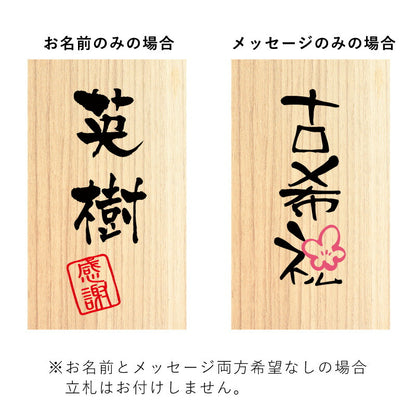 長寿ベア 紫