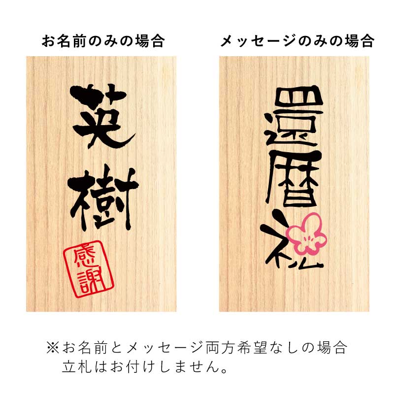 長寿ベア 赤