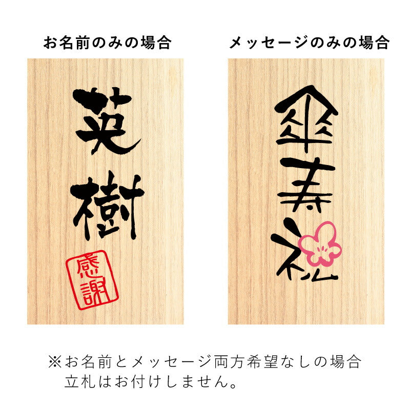 長寿ベア 黄