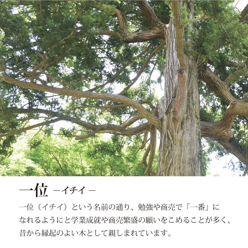 イチイの木札＊裏面麻の葉模様