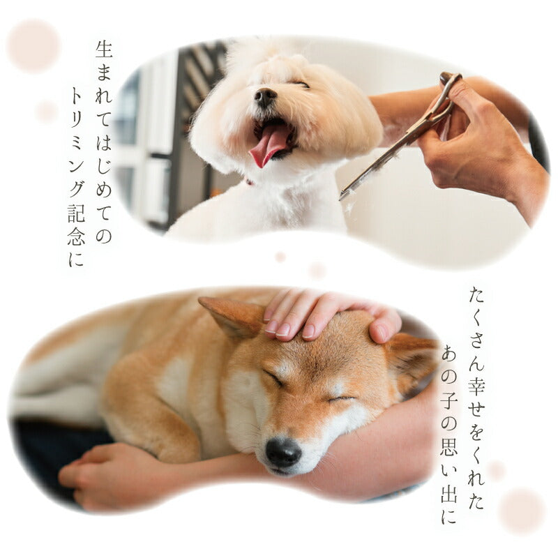 ワンコの毛・ヒゲ ケース