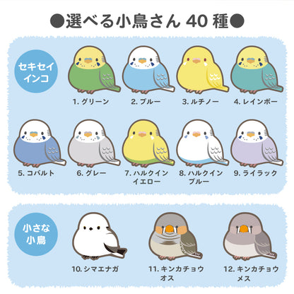 【まとめ買いがお得！】ぽてっと小鳥さんマグカップ