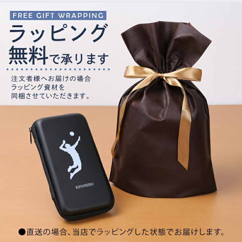 マルチケース ガジェスター
