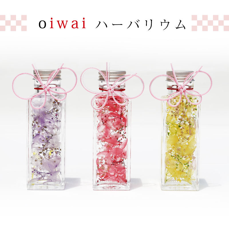 oiwaiハーバリウム＆ハンカチギフトセット