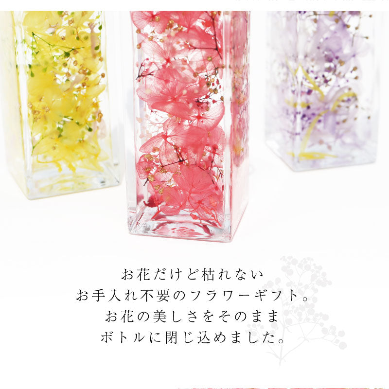 oiwaiハーバリウム＆ハンカチギフトセット