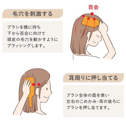 AVEDA パドルブラシ ミニ