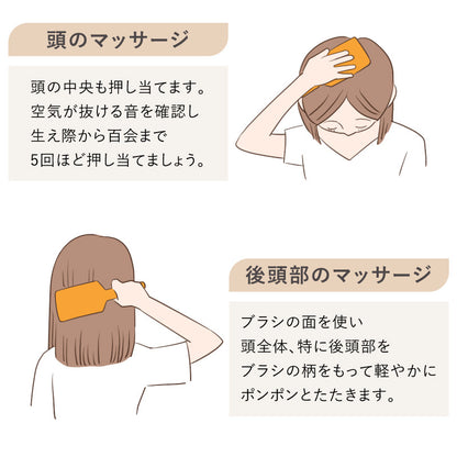 AVEDA パドルブラシ ミニ