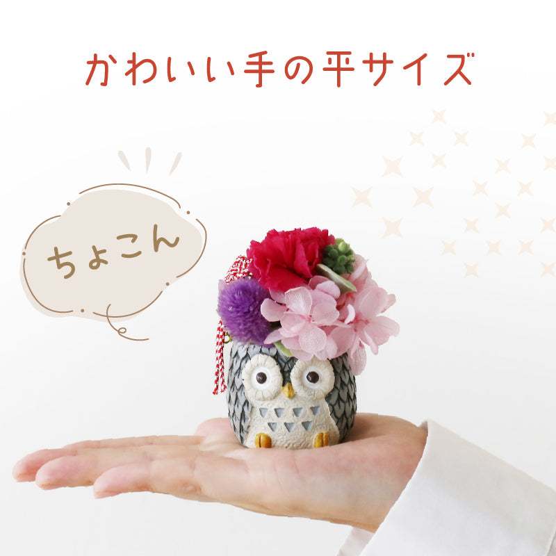 長寿 ふくろう プリザ
