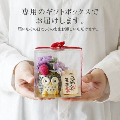 長寿 ふくろう プリザ