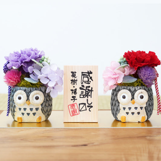長寿 ふくろう プリザペア