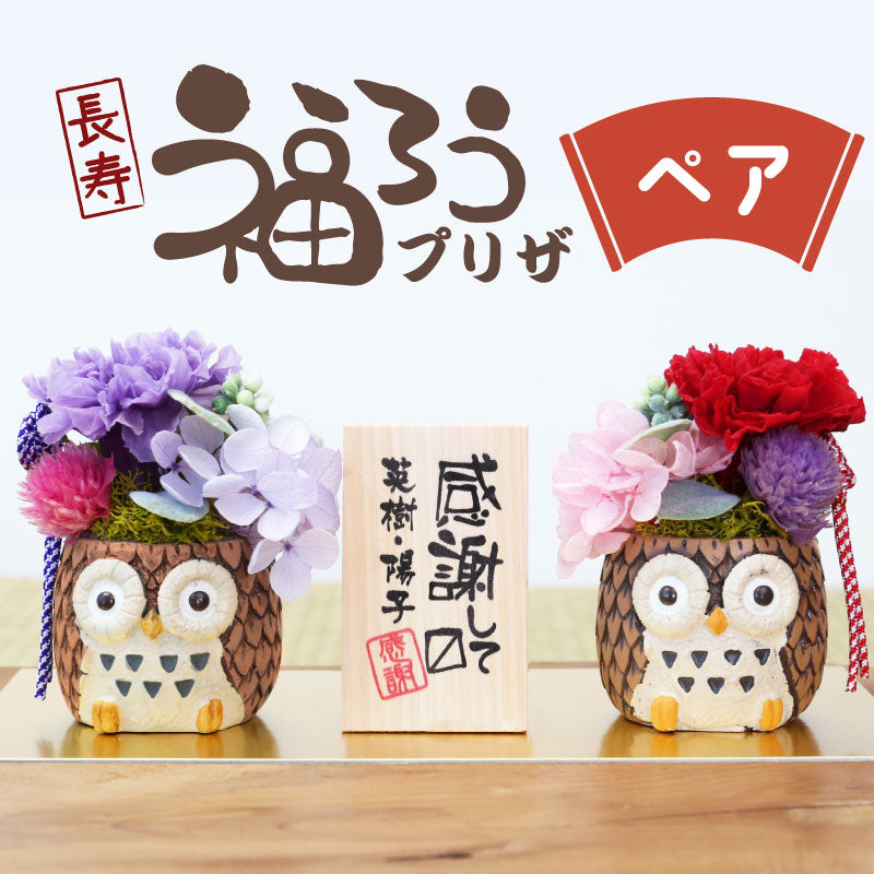 長寿 ふくろう プリザペア