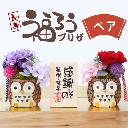 長寿 ふくろう プリザペア