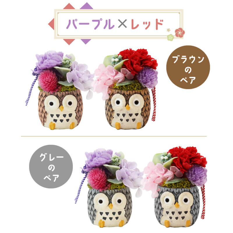 長寿 ふくろう プリザペア