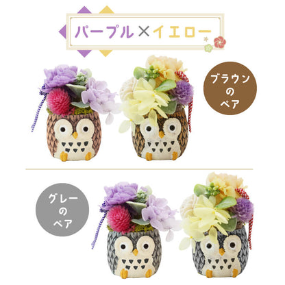 長寿 ふくろう プリザペア