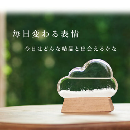 ストーム グラス クラウド