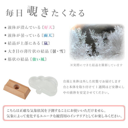 ストーム グラス クラウド