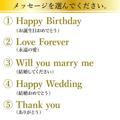 スパークリングワイン フェリスタス750ml 【5営業日出荷】